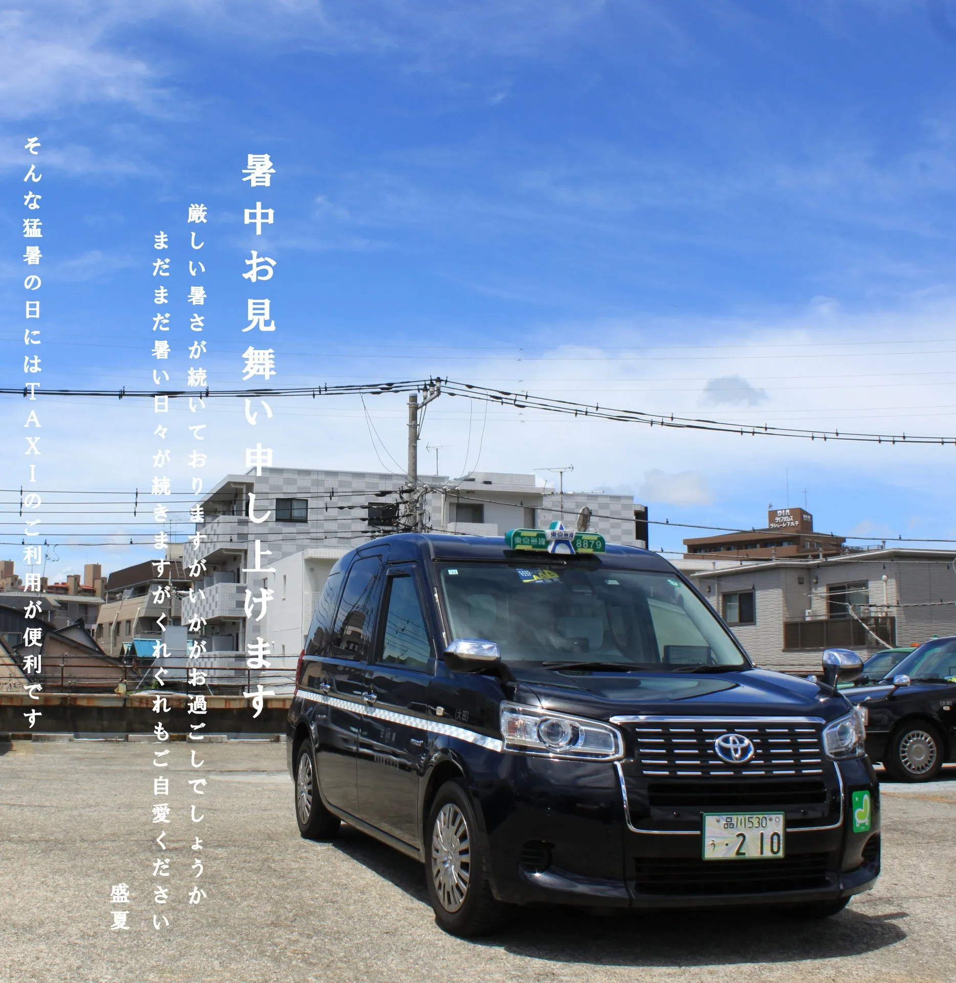暑中見舞い申し上げます